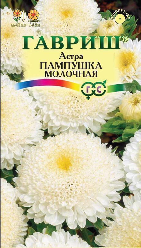 Купить оптом в Ботанике семена Астра Пампушка молочная Гав бренд Гавриш
