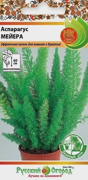 Купить оптом в Ботанике семена Аспарагус Мейера НК бренд НК