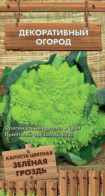 Купить оптом в Ботанике семена Капуста цветная Зеленая гроздь Поиск бренд Поиск