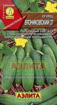 Купить оптом в Ботанике семена Огурец Вязниковский 37 Аэл бренд Аэлита