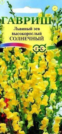 Купить оптом в Ботанике семена Львиный зев Солнечный Гав бренд Гавриш