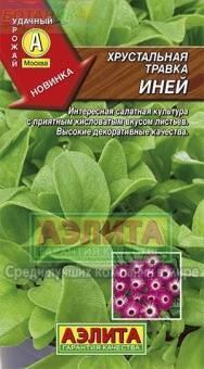 Купить оптом в Ботанике семена Хрустальная травка Иней Аэл бренд Аэлита