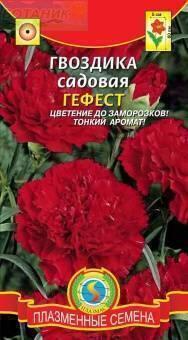 Купить оптом в Ботанике семена Гвоздика садовая Гефест Плз бренд Плазмас