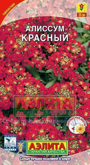 Купить оптом в Ботанике семена Алиссум Красный Аэл бренд Аэлита