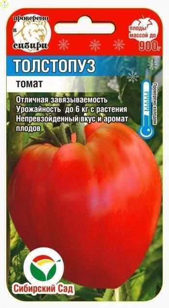 Купить оптом в Ботанике семена Томат Толстопуз СС бренд Сиб.сад