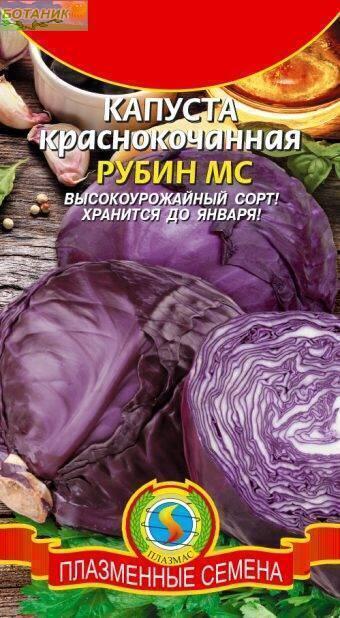 Купить оптом в Ботанике семена Капуста краснокочанная Рубин МС Плз бренд Плазмас