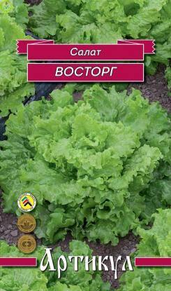 Купить оптом в Ботанике семена Салат Восторг Арт бренд Артикул