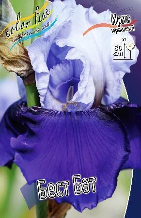 Купить оптом в Ботанике Ирис Бест Бэт 2 шт