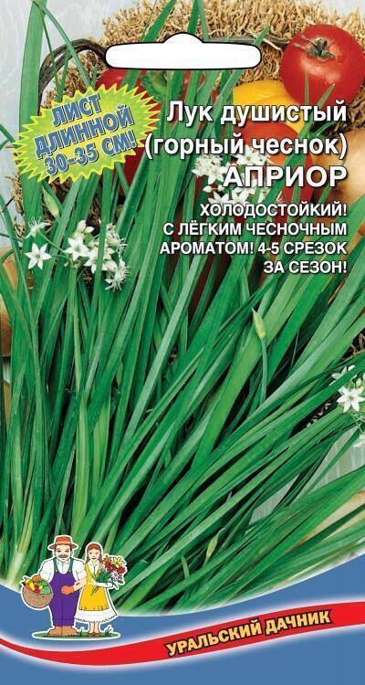 Купить оптом в Ботанике семена Лук душистый Априор УД бренд Уральский дачник