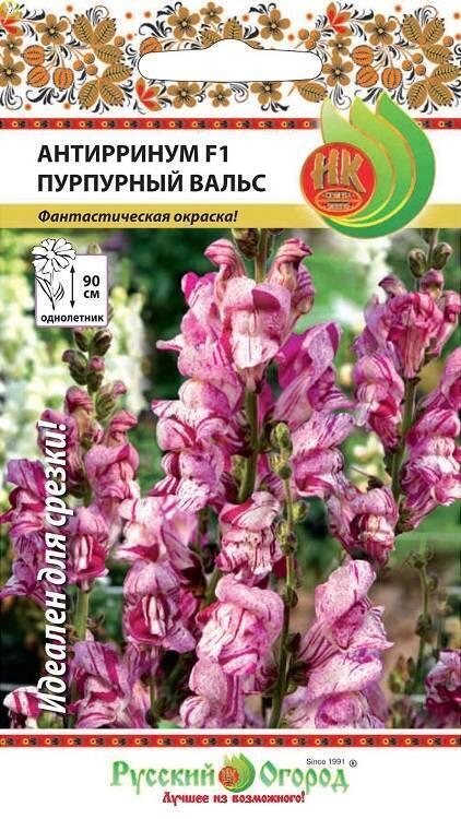Купить оптом в Ботанике семена Антирринум Пурпурный вальс F1 НК бренд НК