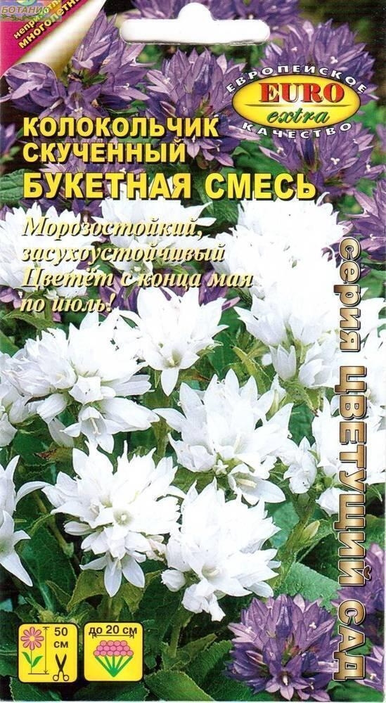 Купить оптом в Ботанике семена Колокольчик Букетная смесь скученный Аэл бренд Аэлита