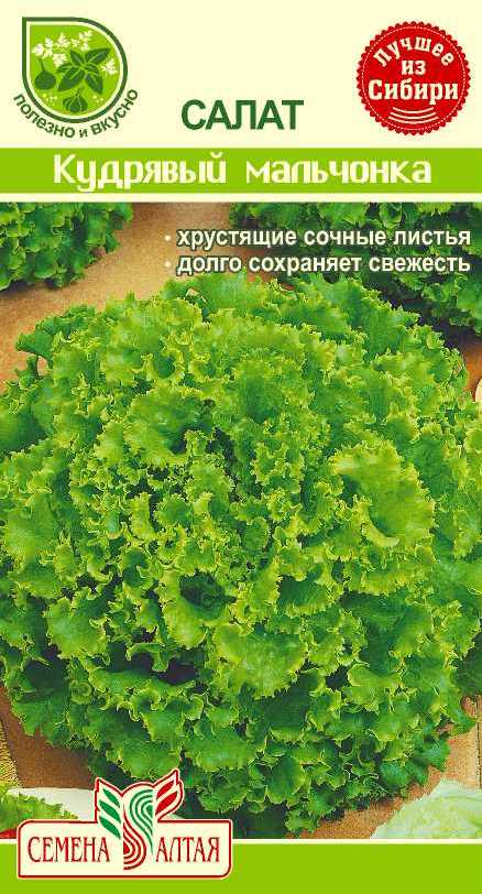 Купить оптом в Ботанике семена Салат Кудрявый мальчонка СА бренд Семена Алтая