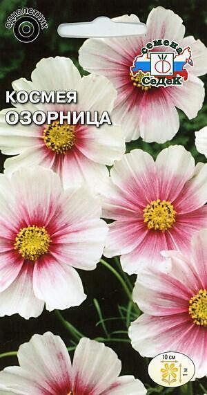 Купить оптом в Ботанике семена Космея Озорница Сед бренд СеДеК