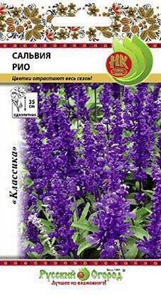 Купить оптом в Ботанике семена Сальвия Рио НК бренд НК