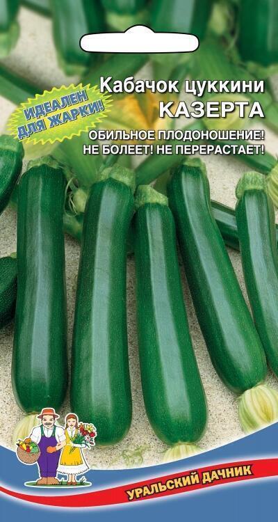 Купить оптом в Ботанике семена Кабачок Казерта цуккини УД бренд Уральский дачник