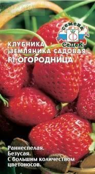 Купить оптом в Ботанике семена Земляника Огородница F1 Сед бренд СеДеК