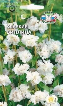Купить оптом в Ботанике семена Кларкия Виллина Сед бренд СеДеК