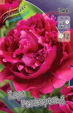 Купить оптом в Ботанике Пион Карл Розенфельд 25 шт