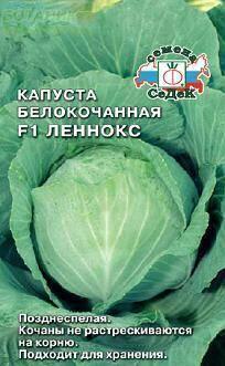 Купить оптом в Ботанике семена Капуста белокочанная Леннокс F1 Сед бренд СеДеК