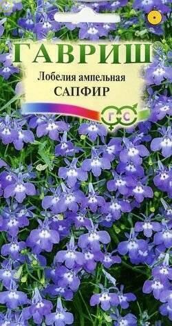 Купить оптом в Ботанике семена Лобелия Сапфир ампельная Гав бренд Гавриш