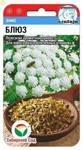 Купить оптом в Ботанике семена Анис Блюз СС бренд Сиб.сад