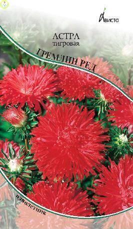 Купить оптом в Ботанике семена Астра Гремлин Ред тигровая Ав бренд Ависта