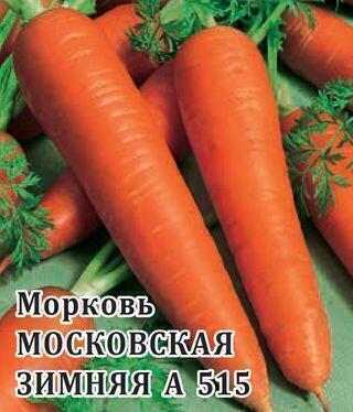 Купить оптом в Ботанике семена Морковь Московская зимняя Гав бренд Гавриш
