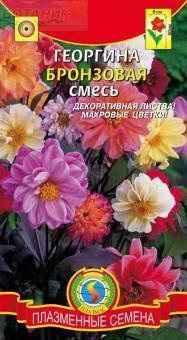 Купить оптом в Ботанике семена Георгина Бронзовая смесь Плз бренд Плазмас