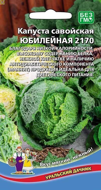 Купить оптом в Ботанике семена Капуста савойская Юбилейная 2170 УД бренд Уральский дачник