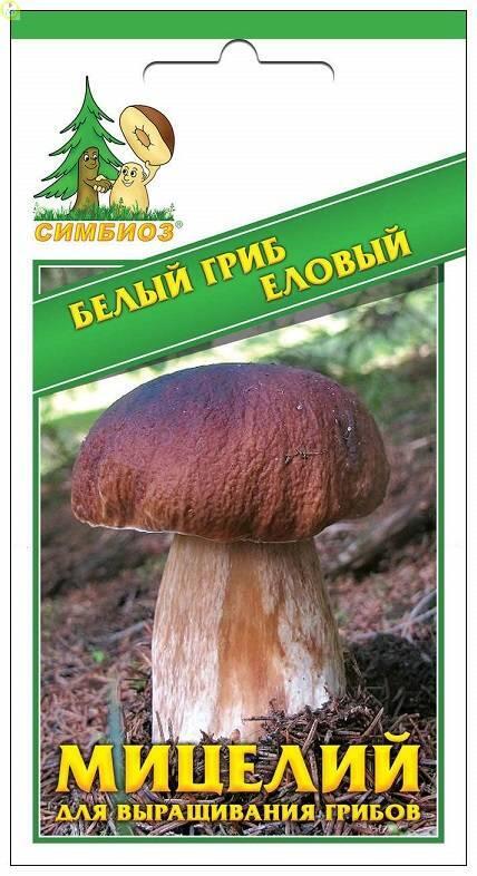 Купить оптом в Ботанике семена Белый гриб еловый Сим бренд НПМЛ СИМБИОЗ
