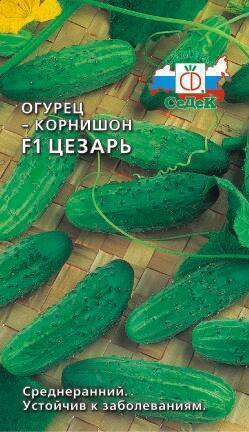 Купить оптом в Ботанике семена Огурец Цезарь F1 Сед бренд СеДеК