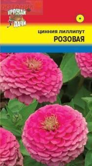 Купить оптом в Ботанике семена Цинния Лиллипут розовая УУ бренд Урожай Удачи