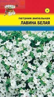 Купить оптом в Ботанике семена Петуния Лавина белая УУ бренд Урожай Удачи