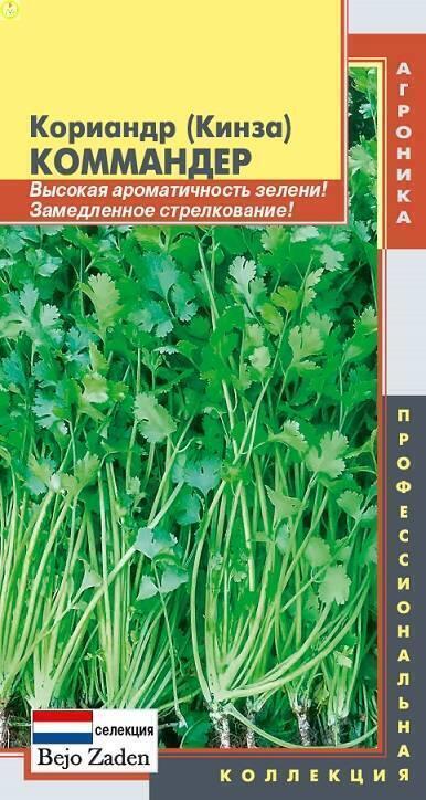 Купить оптом в Ботанике семена Кориандр Коммандер Плз бренд Плазмас