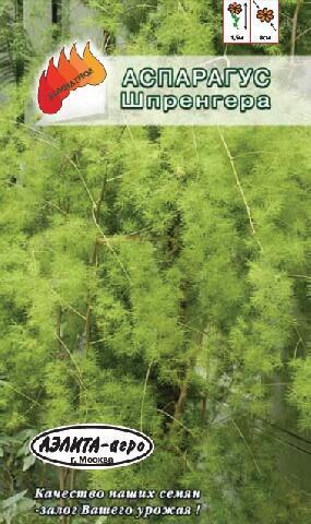 Купить оптом в Ботанике семена Аспарагус Шпренгера Аэл бренд Аэлита