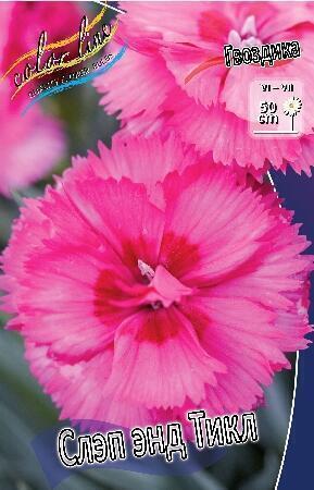 Купить оптом в Ботанике Гвоздика Слэп энд Тикл 2 шт