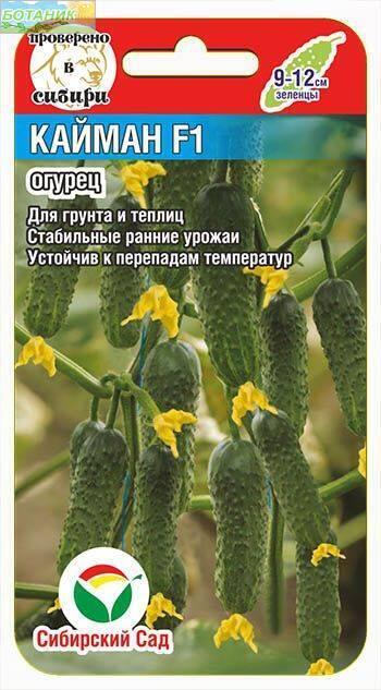 Купить оптом в Ботанике семена Огурец Кайман F1 СС бренд Сиб.сад