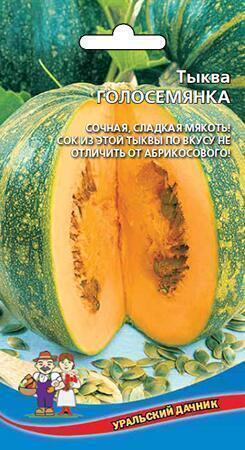 Купить оптом в Ботанике семена Тыква Голосемянная УД бренд Уральский дачник