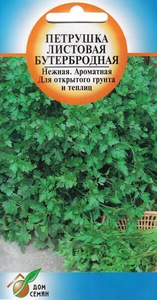 Купить оптом в Ботанике семена Петрушка Бутербродная ССО бренд Сортсемовощ