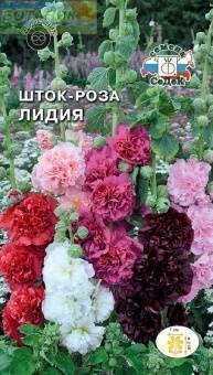 Купить оптом в Ботанике семена Шток-роза Лидия Сед бренд СеДеК