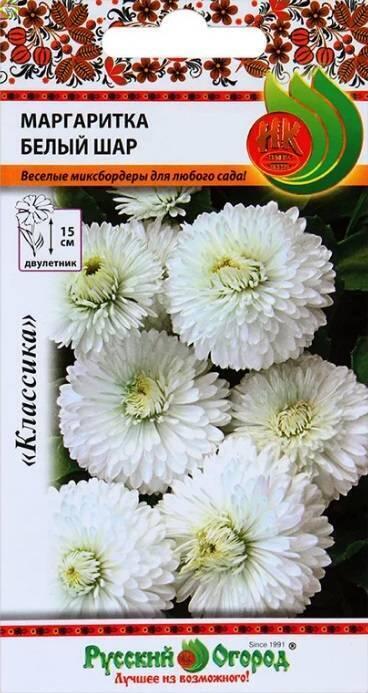 Купить оптом в Ботанике семена Маргаритка Белый шар НК бренд НК