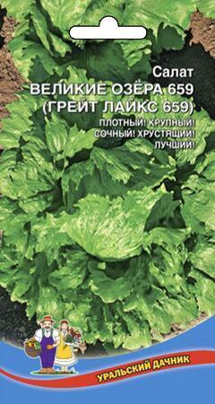 Купить оптом в Ботанике семена Салат Великие озера 659 УД бренд Уральский дачник