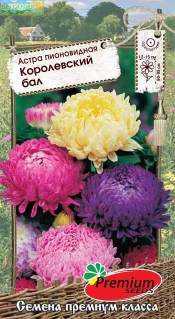 Купить оптом в Ботанике семена Астра Королевский бал ПС бренд Премиум Сидс