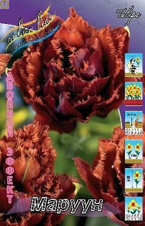 Купить оптом в Ботанике Тюльпан Маруун 8 шт