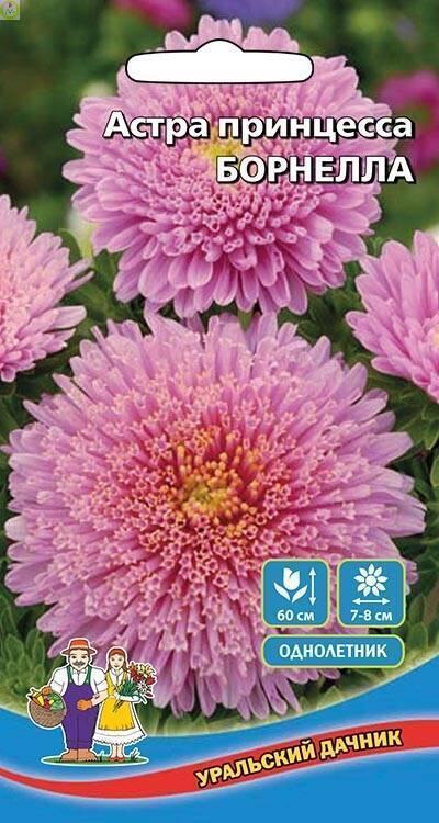 Купить оптом в Ботанике семена Астра Борнелла принцесса УД бренд Уральский дачник