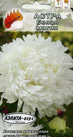 Купить оптом в Ботанике семена Астра Белая магия Аэл бренд Аэлита