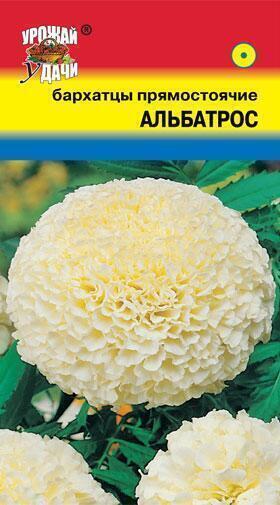 Купить оптом в Ботанике семена Бархатцы Альбатрос УУ бренд Урожай Удачи