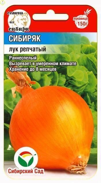 Купить оптом в Ботанике семена Лук репчатый Сибиряк СС бренд Сиб.сад