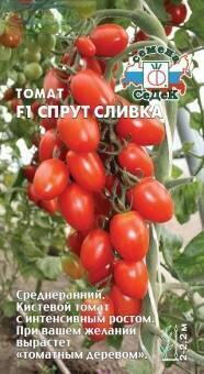 Купить оптом в Ботанике семена Томат Спрут сливка F1 Сед бренд СеДеК