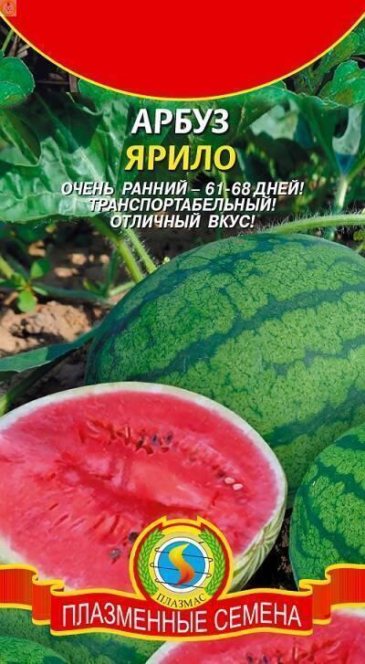 Купить оптом в Ботанике семена Арбуз Ярило Плз бренд Плазмас